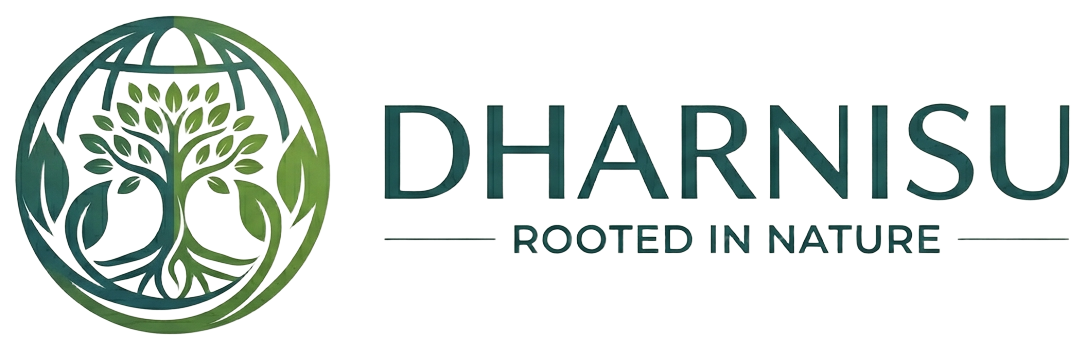 DharniSu - InfoNest logo